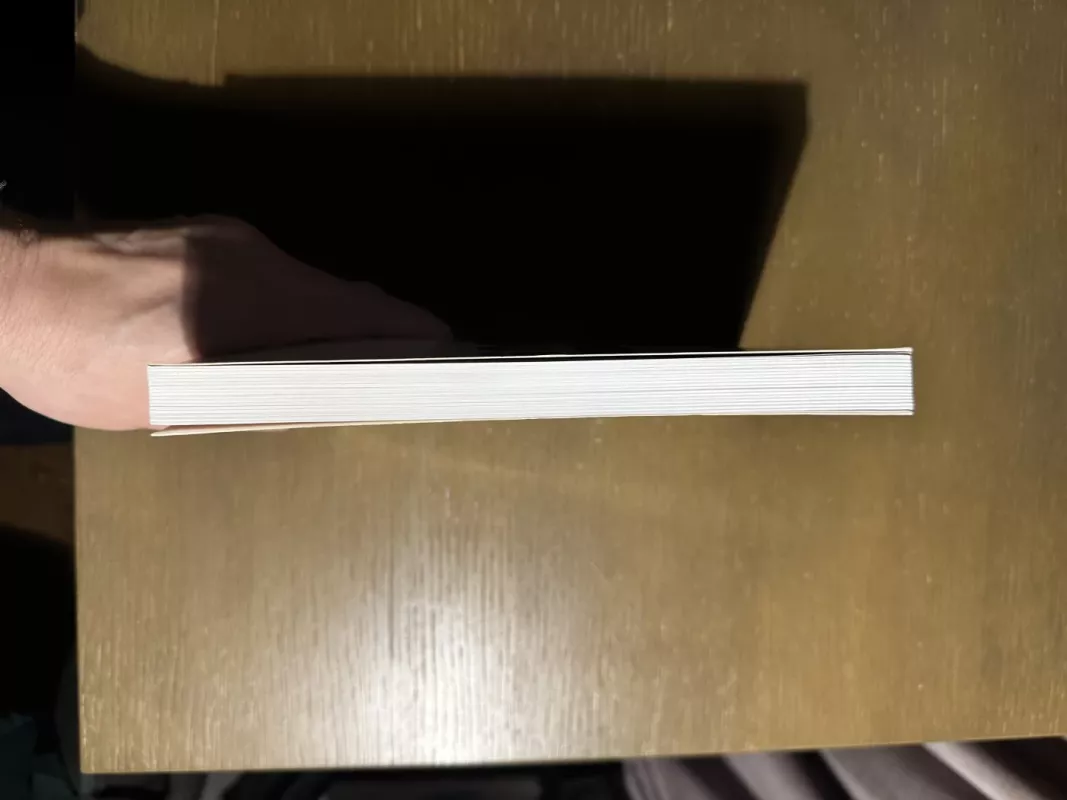 Maištaujantis žmogus - Albert Camus, knyga 5