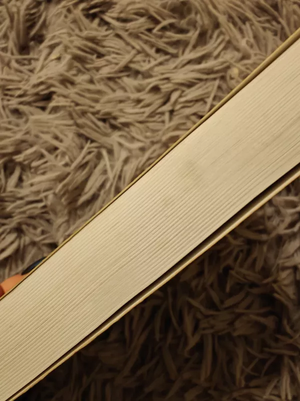 Raktai mūsų rankose - Anicetas Tamošaitis, knyga 4