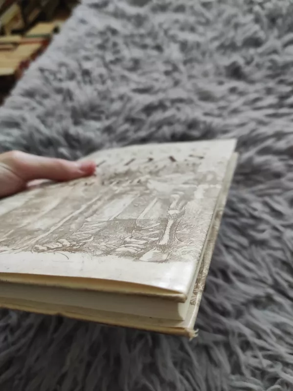 Būdas senovės lietuvių, kalnėnų ir žemaičių - Simonas Daukantas, knyga 4