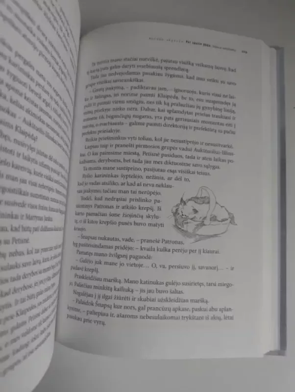 Pūga prie Mėmelio - Alfonsas Eidintas, knyga 6