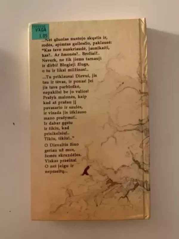 Dievaitis - Marija Rodzevičuvna, knyga 3