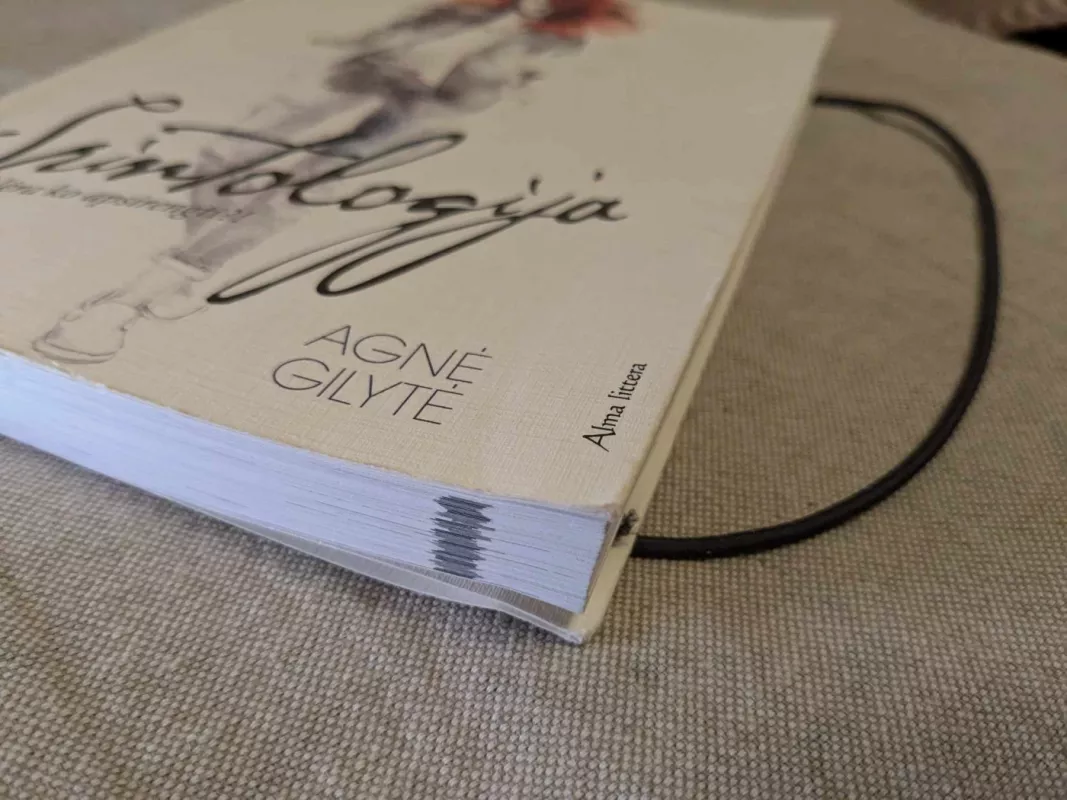 Spintologija - Gilytė Agnė, knyga 3