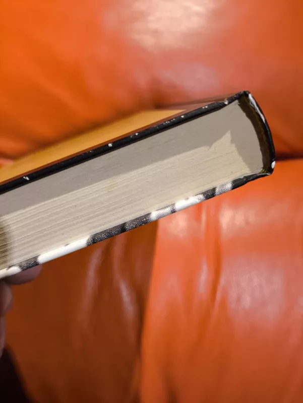 Ordesa - Manuel Vilas, knyga 6