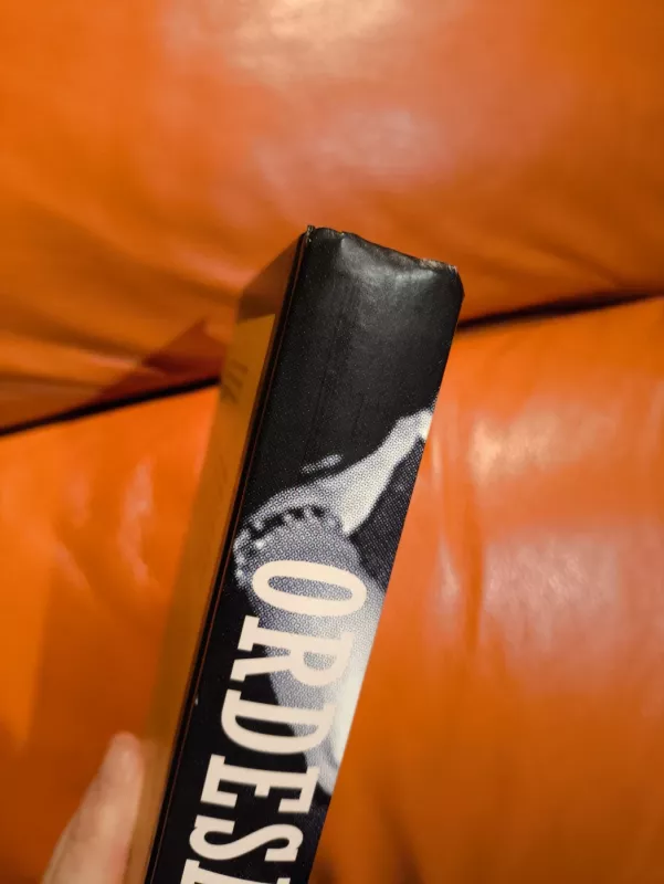 Ordesa - Manuel Vilas, knyga 3