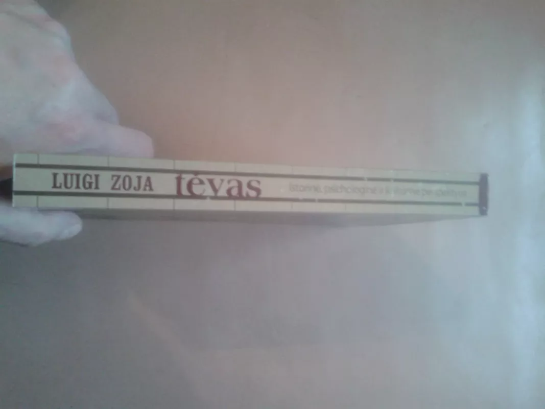 Tėvas: istorinė, psichologinė ir kultūrinė perspektyva - Luigi Zoja, knyga 3