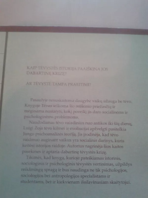 Tėvas: istorinė, psichologinė ir kultūrinė perspektyva - Luigi Zoja, knyga 4