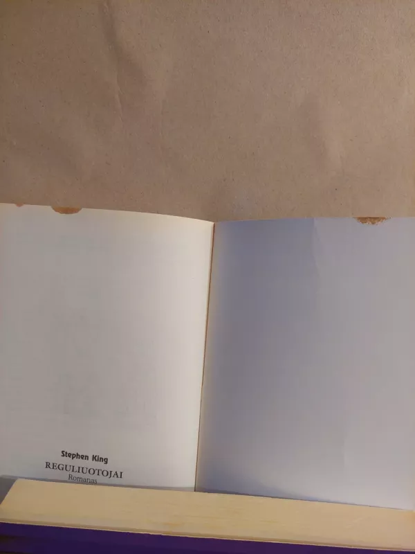 Reguliuotojai (24) - Stephen King, knyga 4