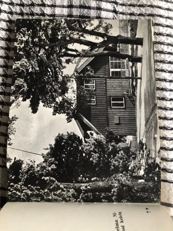 Neringa - V. Abromavičius, knyga 3