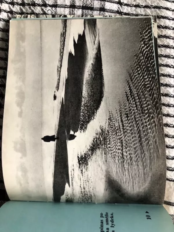 Neringa - V. Abromavičius, knyga 4