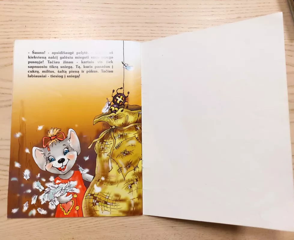 Į ką panašus sniegas? - Birutė Masiliauskienė, knyga 6