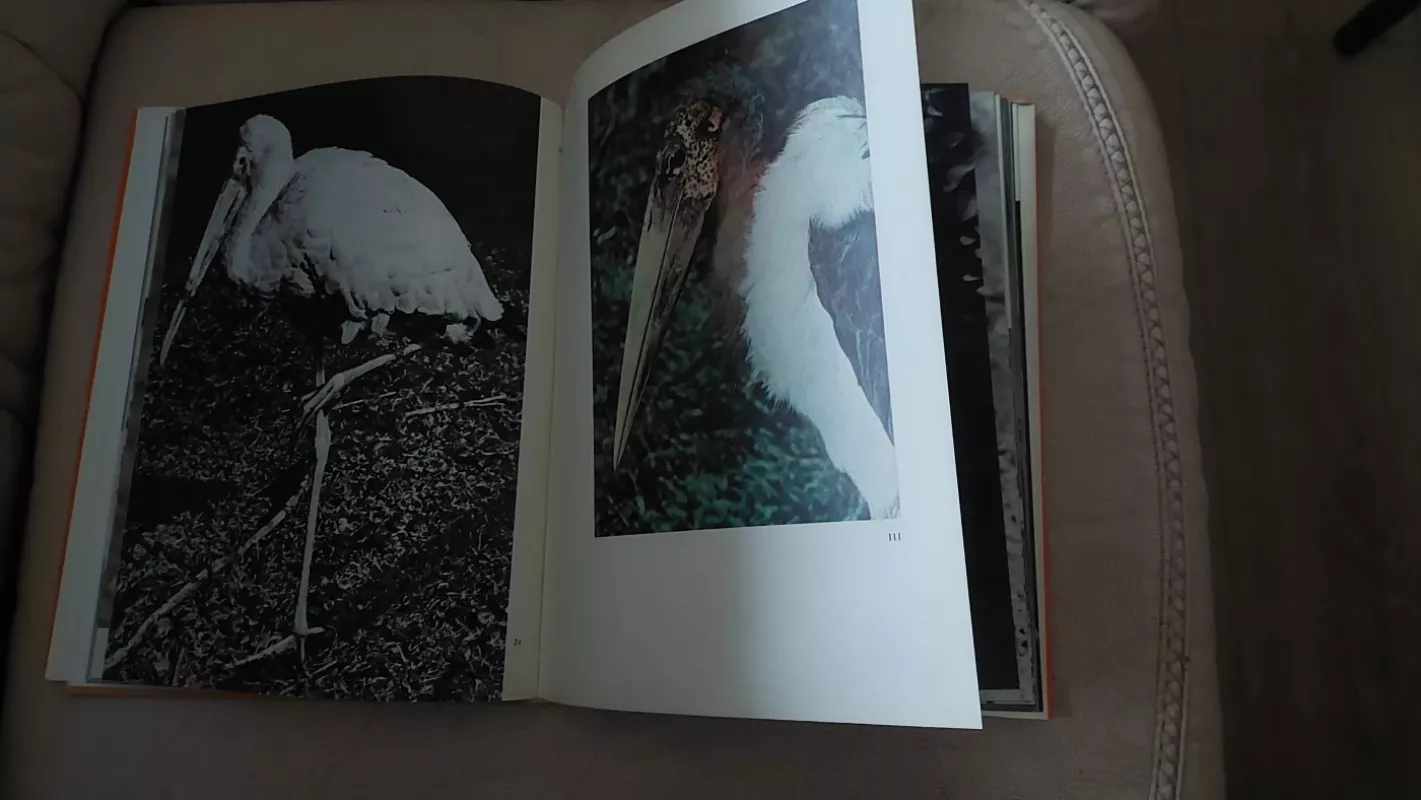 Paukščiai tolimų šalių - V. Puchalskij, knyga 3