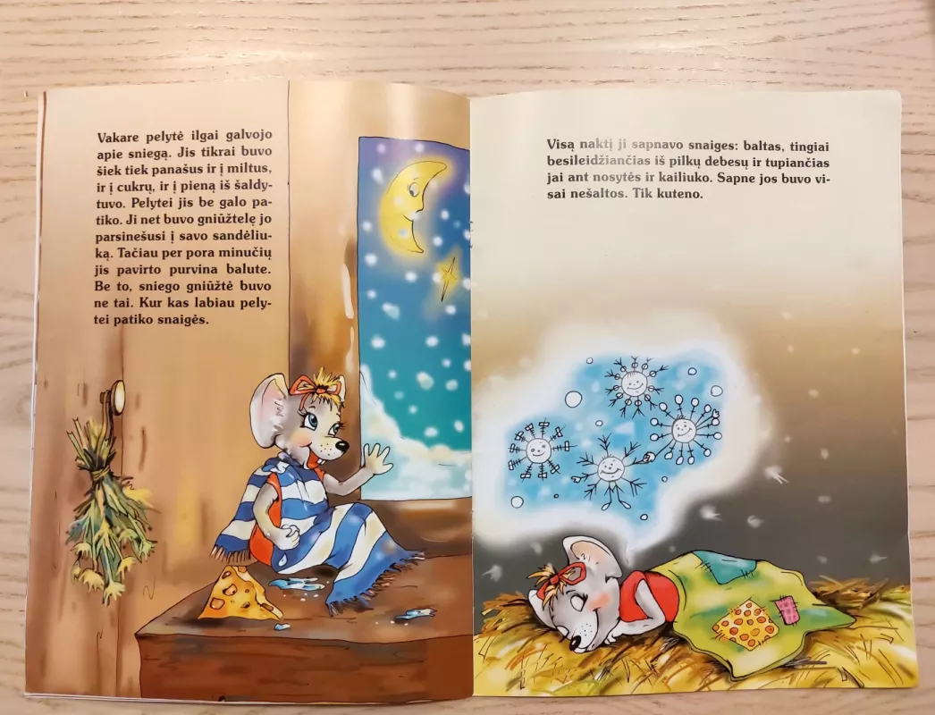 Į ką panašus sniegas? - Birutė Masiliauskienė, knyga 4