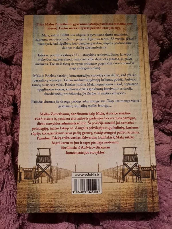 Mergina, kuri pabėgo iš Aušvico - Ellie Midwood, knyga 3