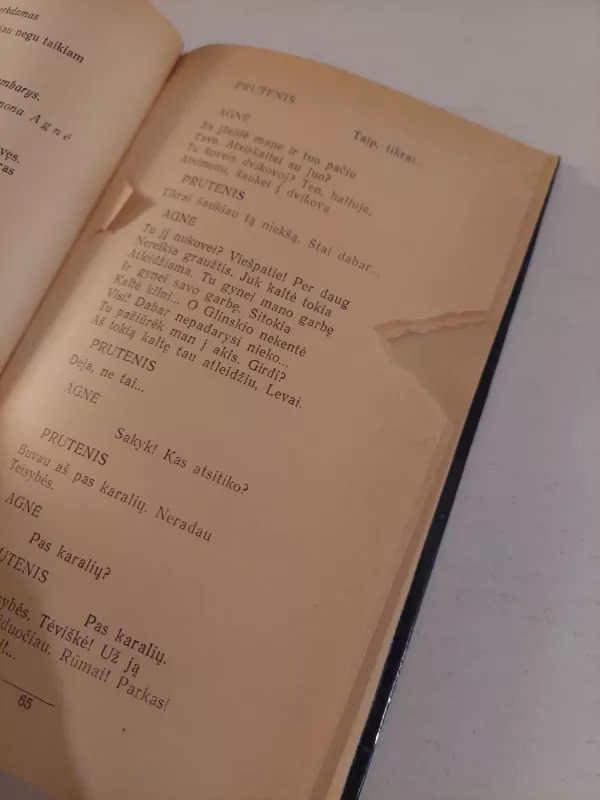 Tiesa-laukinis žirgas - Juozas Grušas, knyga 4