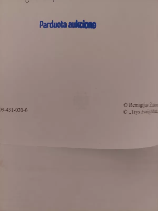 Psichologinė lygtis - Remigijus Žukauskas, knyga 4