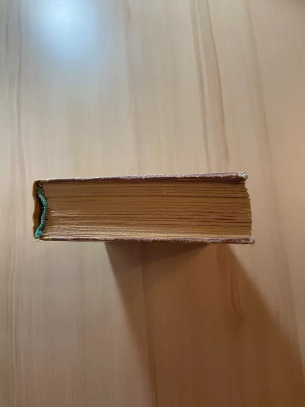 Kapitono Granto vaikai - Žiulis Vernas, knyga 3