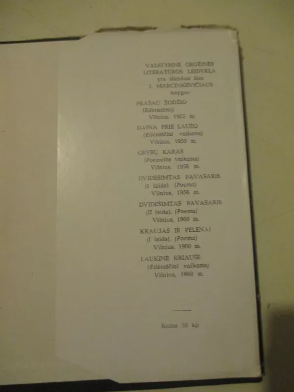 Kraujas ir pelenai. S. Krasausko medžio raižiniai - Justinas Marcinkevičius, knyga 6