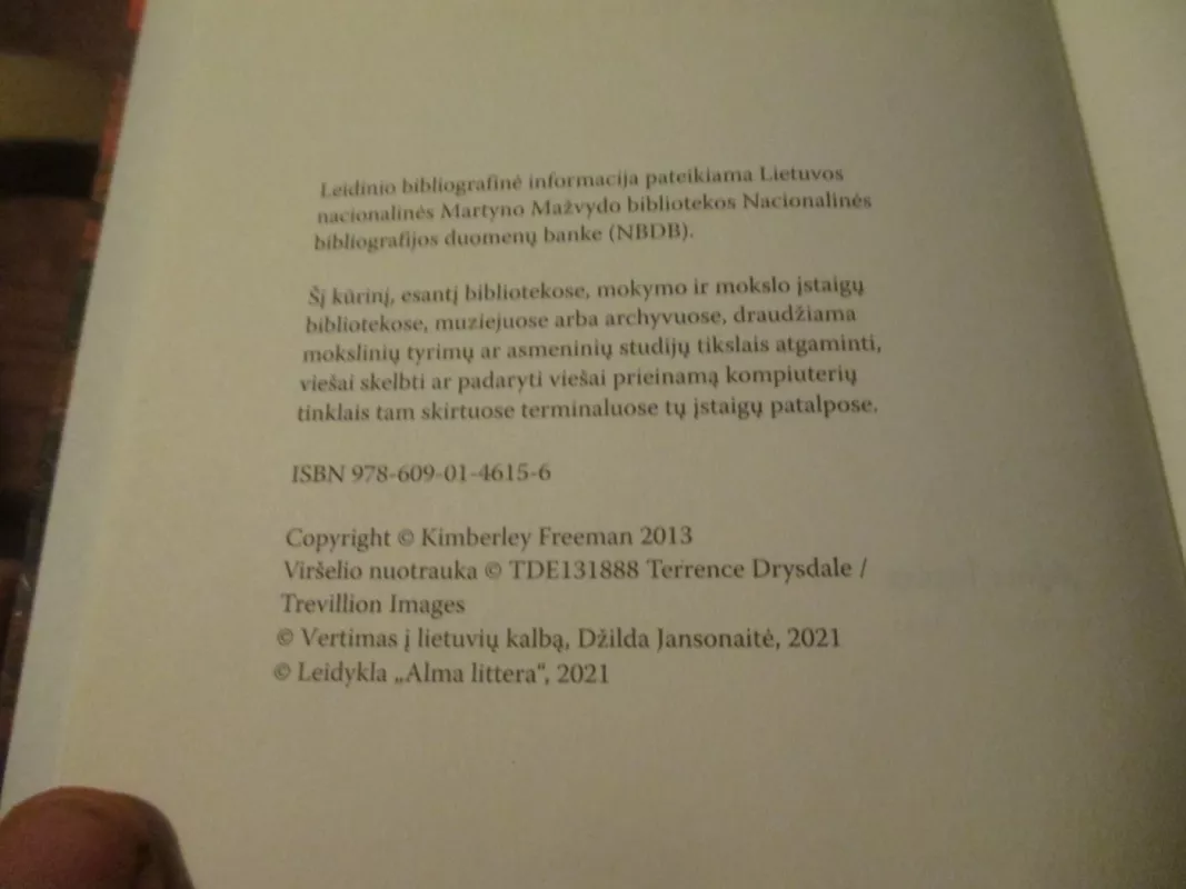 Žarijų sala - Kimberley Freeman, knyga 6