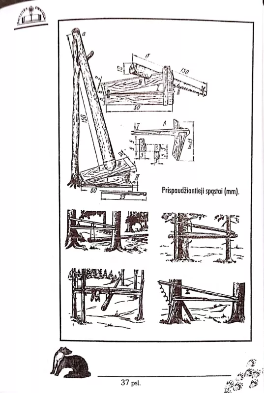 Kiaunių medžioklė - Petras Dabrišius, knyga 4