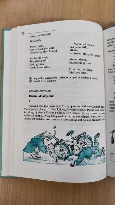Skaitiniai. Vadovėlis 5 klasei - Vida Pobrein, knyga 5