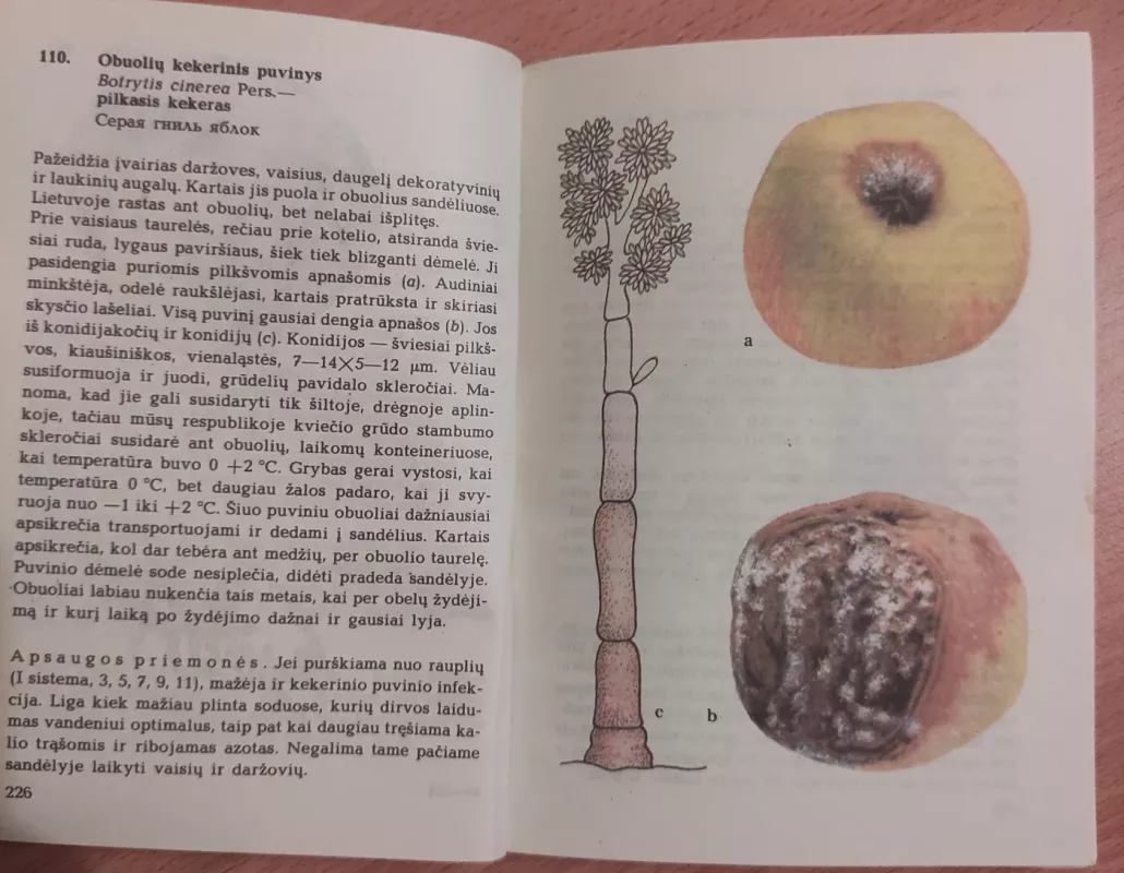 Sodo kenkėjai ir ligos - S. Pileckis, knyga 4