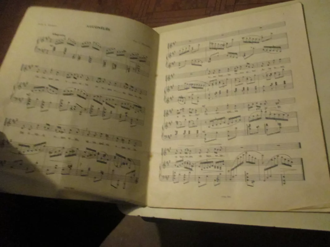 Ugniaspalvės aguonėlės - Autorių Kolektyvas, knyga 6