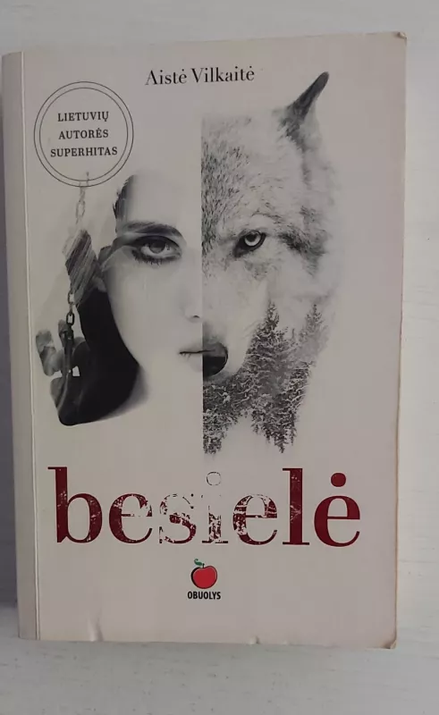 Besielė - Aistė Vilkaitė, knyga 2