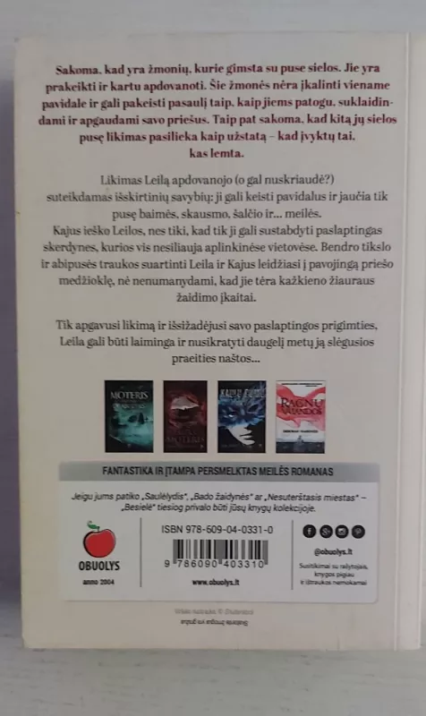 Besielė - Aistė Vilkaitė, knyga 3