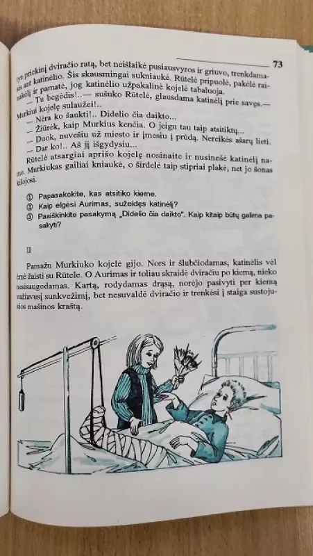 Skaitiniai. Vadovėlis 5 klasei - Vida Pobrein, knyga 6