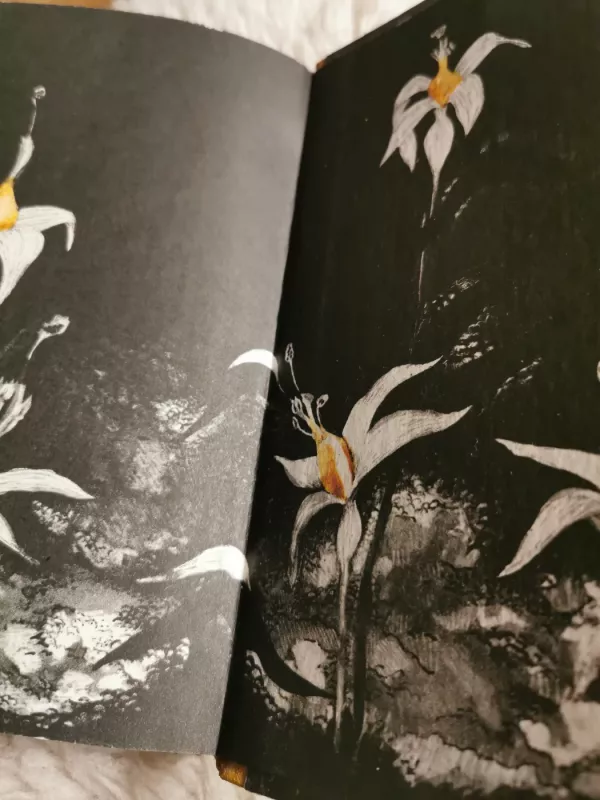 Dikiye lebedi - Hansas Kristianas Andersenas, knyga 4