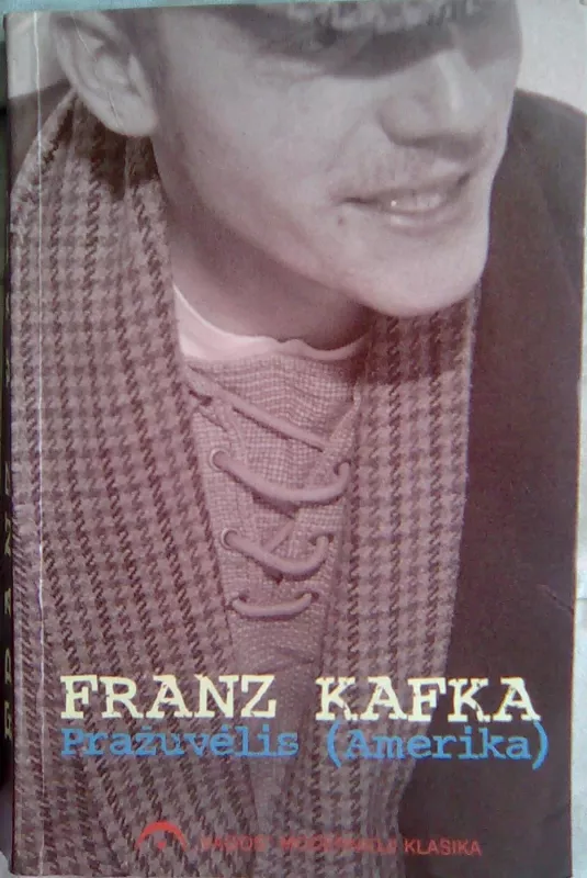 Pataisos kolonijoje - Franz Kafka, knyga 4