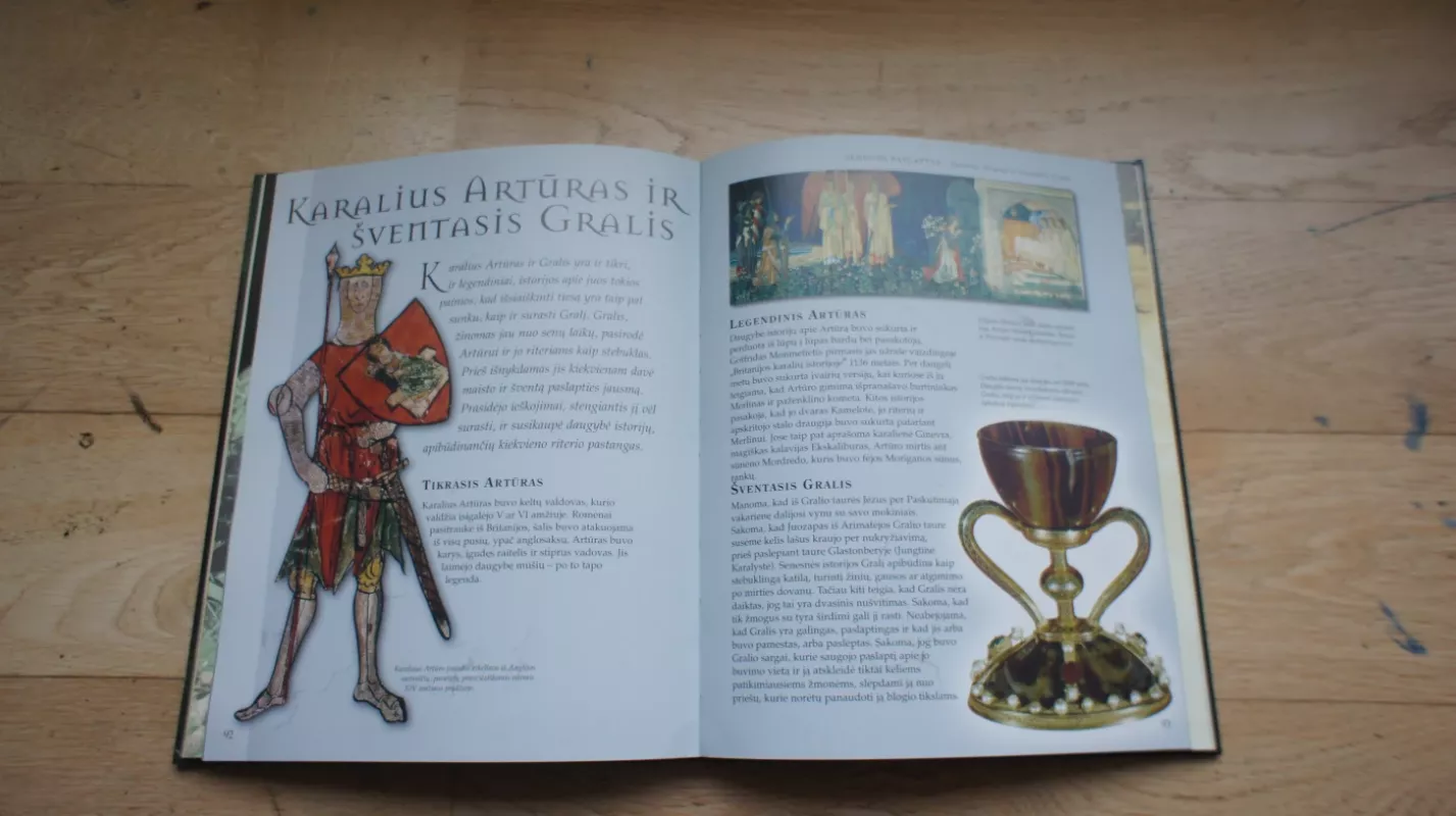 Neišaiškintos pasaulio mįslės - Judy Allen, knyga 3