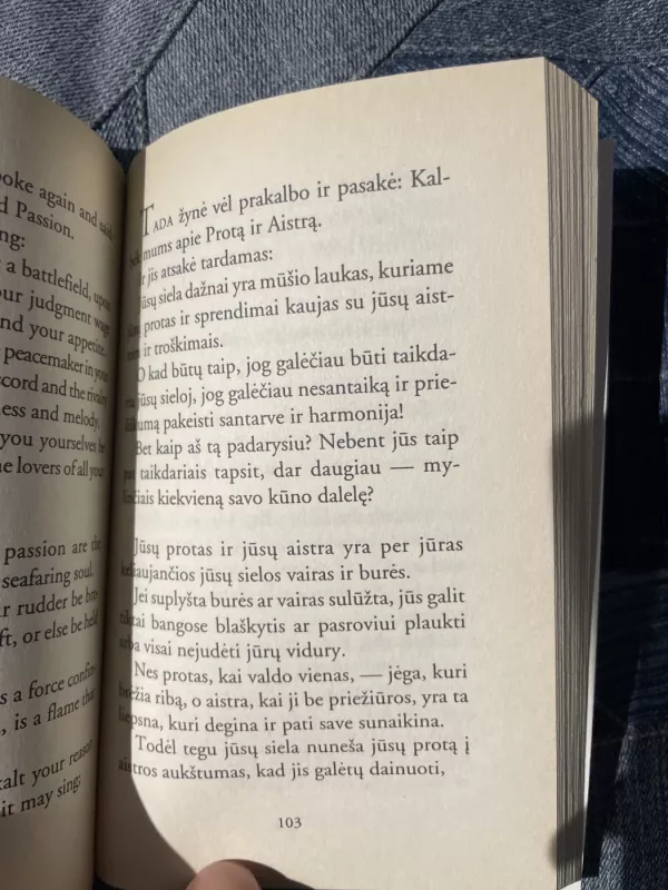 Pranašas - Kahlil Gibran, knyga 4