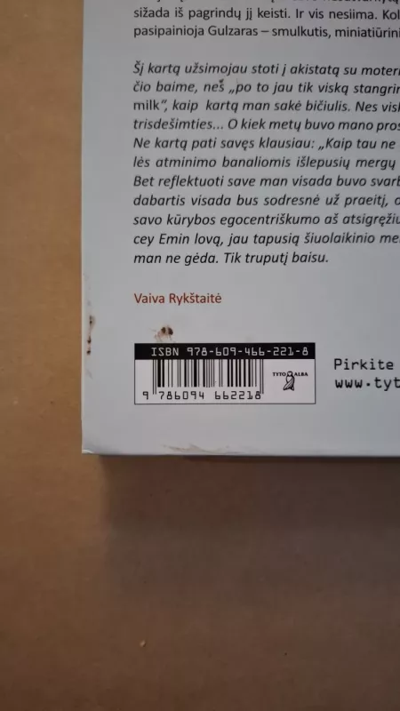 Trisdešimt : romanas - Vaiva Rykštaitė, knyga 3