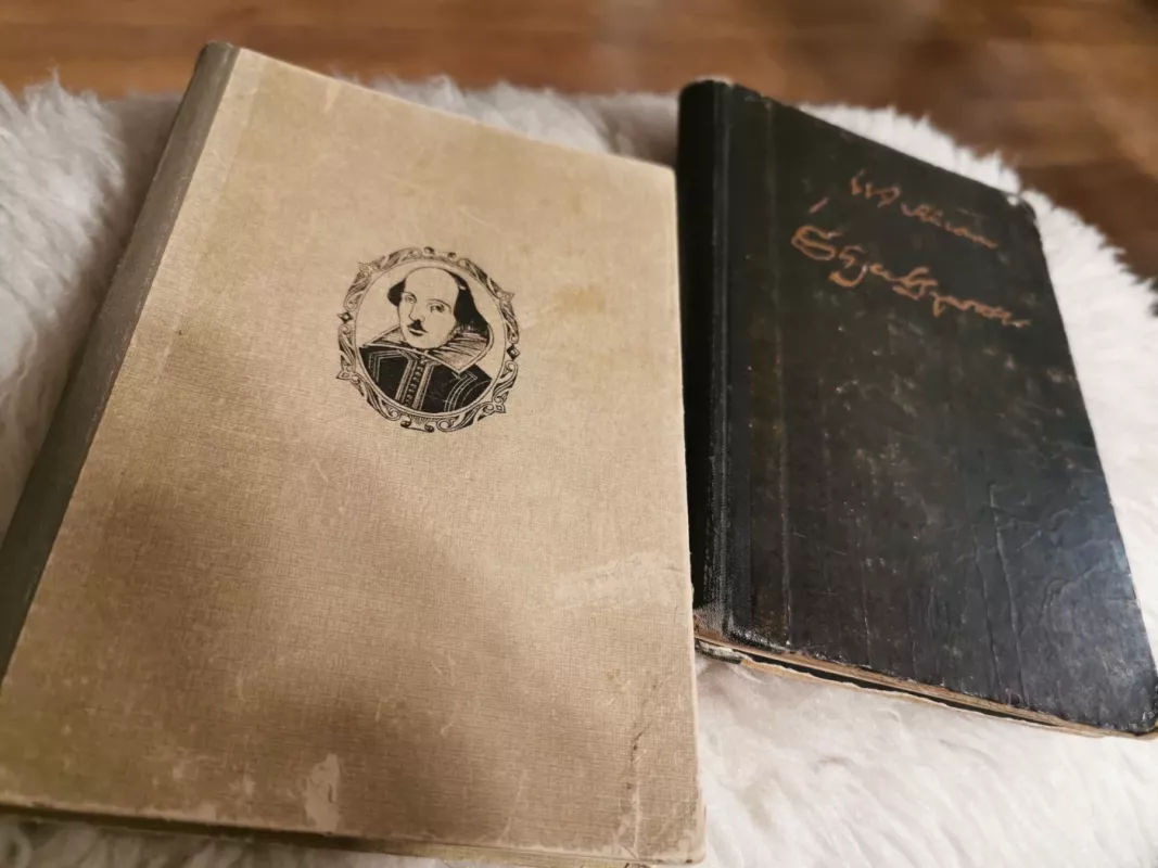 Romeo ir Džiuljeta - William Shakespeare Viljamas Šekspyras, knyga 2