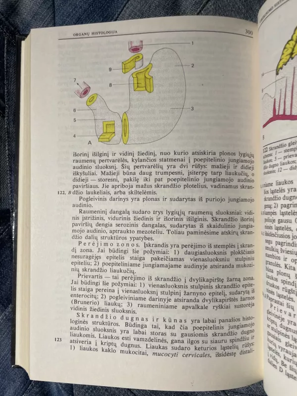 Histologija - Autorių Kolektyvas, knyga 6