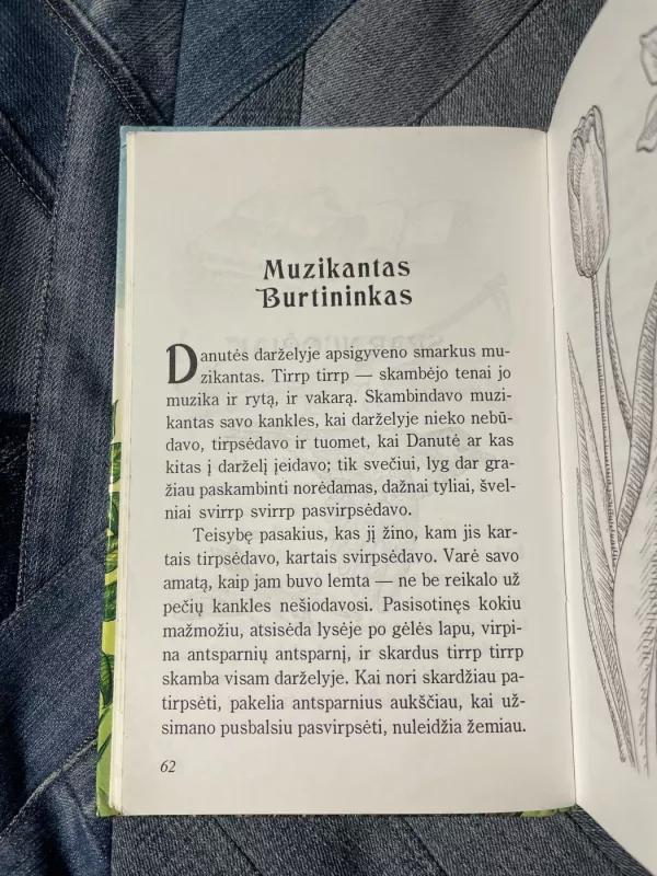 Vaikučių pasakėlės - Pranas Mašiotas, knyga 4