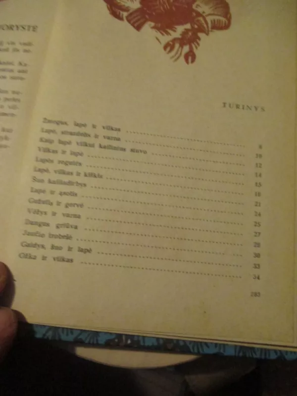 Gulbė karaliaus pati - Autorių Kolektyvas, knyga 6