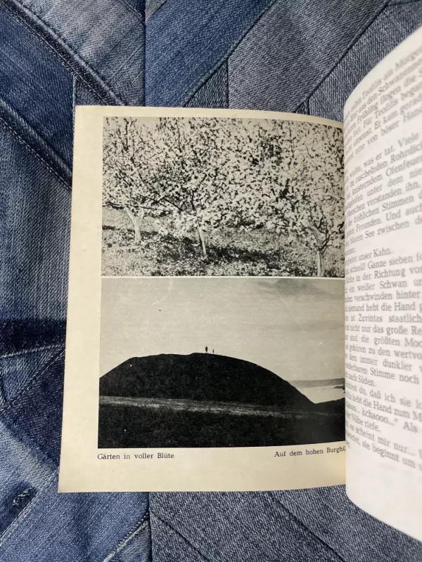 Bilder Der Litauischen Natur - Rimantas Budrys, knyga 5