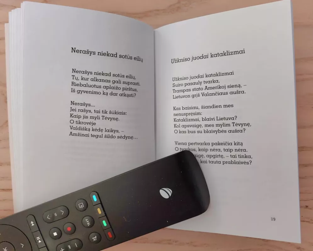 Kažkada - Gintautas Labanauskas, knyga 6