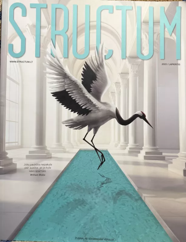 Structum 2023 nr. 11 - Autorių Kolektyvas, knyga 2