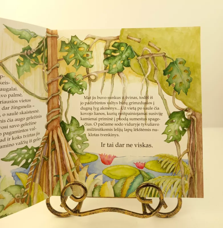 A dream - sapnas ar vis dėlto svajonė? - Salomėja Pečiulytė, knyga 3