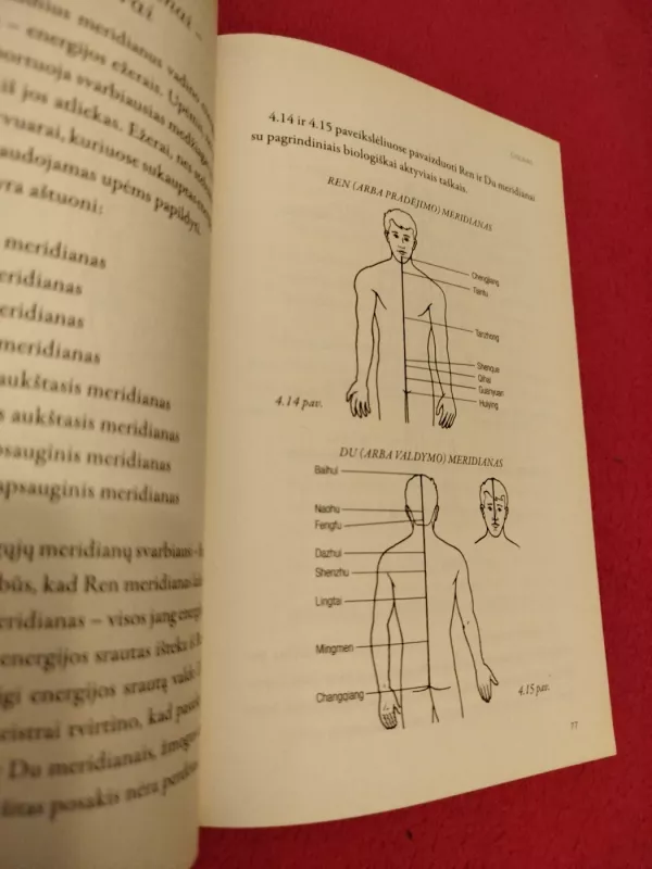 Cigunas - Wong Kiew Kit, knyga 4