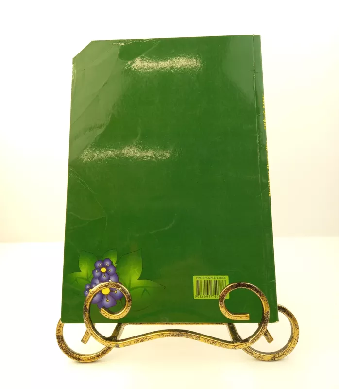 Smėlio batai - Stanislovas Abromavičius, knyga 4