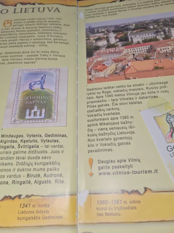 Lietuvos istorija nuo seniausių laikų iki šių dienų - Autorių Kolektyvas, knyga 6