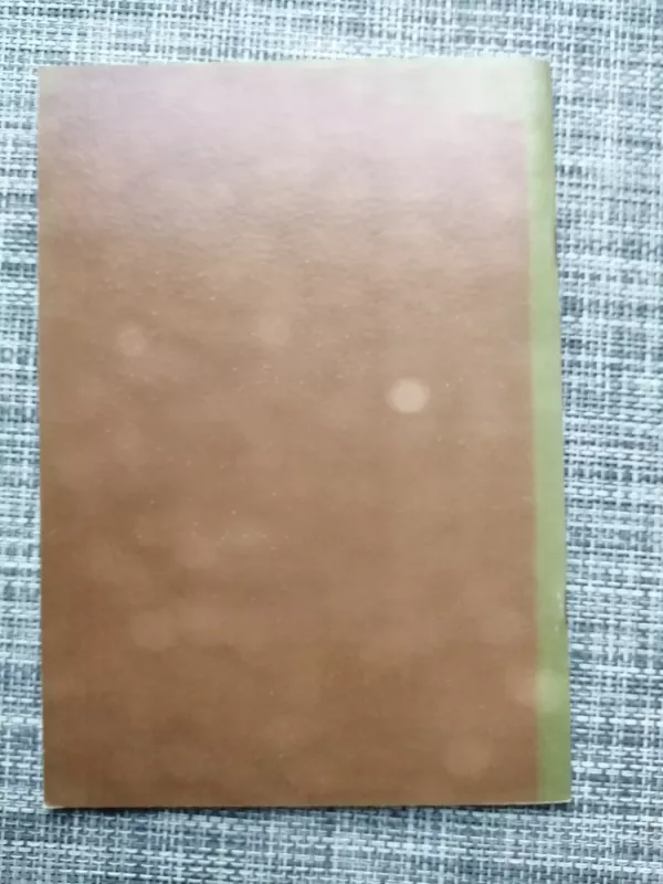 Tai buvo Norilske - Juozas Petrauskas, knyga 4