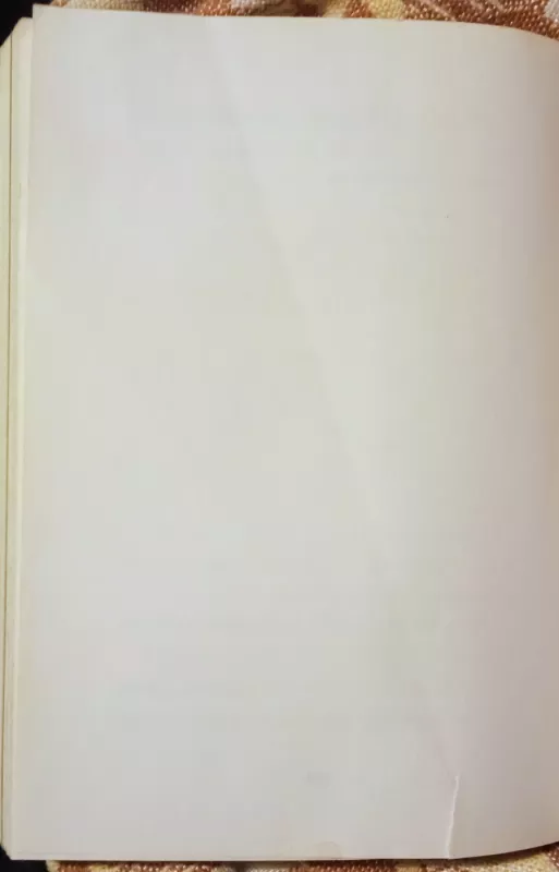 Alvinas ir burundukai - Finn Perdita, knyga 3