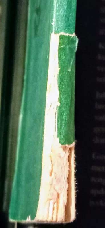 Lietuvių liaudies kosmologija - Pranė Dundulienė, knyga 3