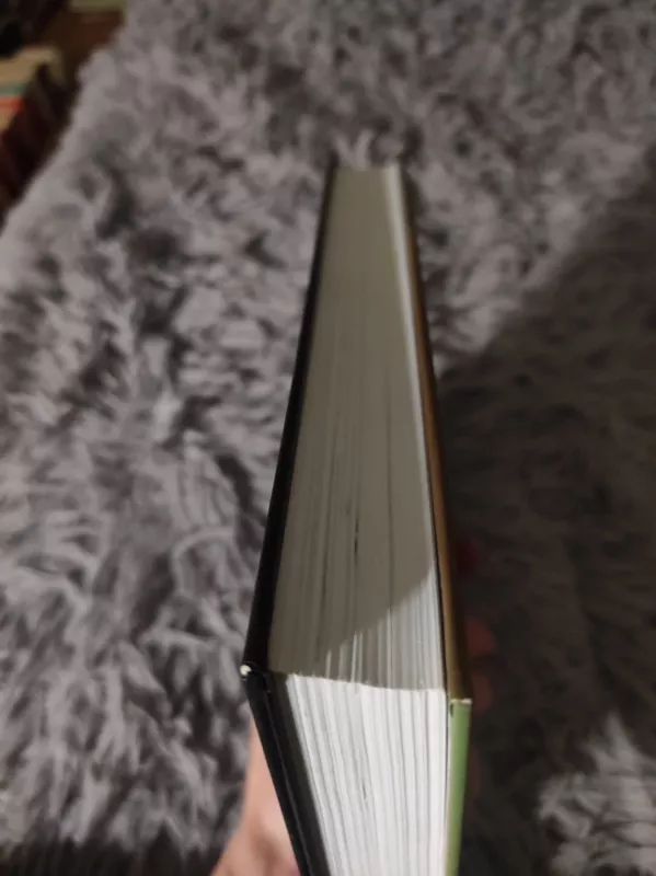 Kruvini miškai - Vincent Hunt, knyga 4