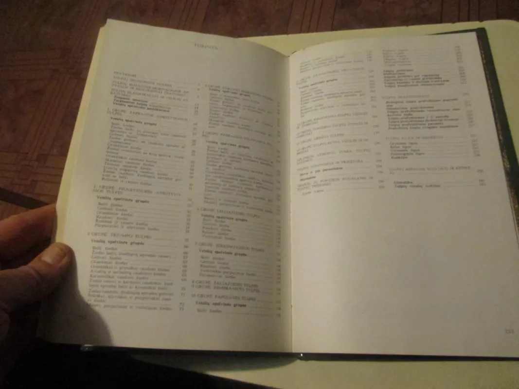 Tulpės - A. Baliūnienė, ir kiti , knyga 5